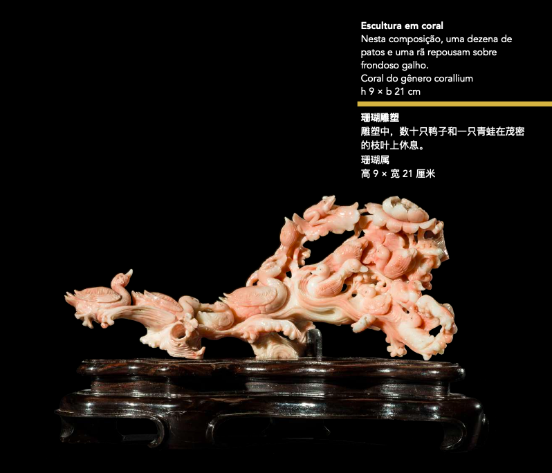 Captura de Tela 2024-04-02 às 19.11.00.png